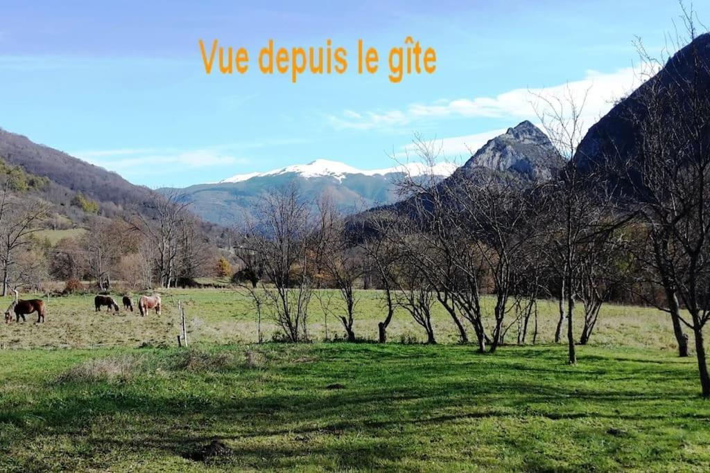 Grange En Pierres. Grand Jardin Et Belle Vue Villa Saurat Luaran gambar