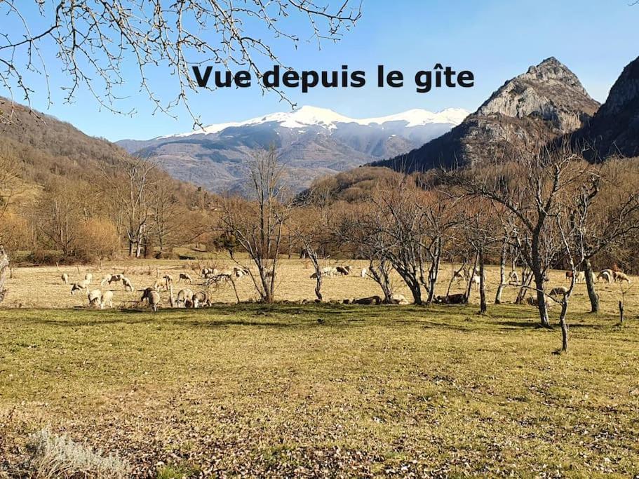 Grange En Pierres. Grand Jardin Et Belle Vue Villa Saurat Luaran gambar