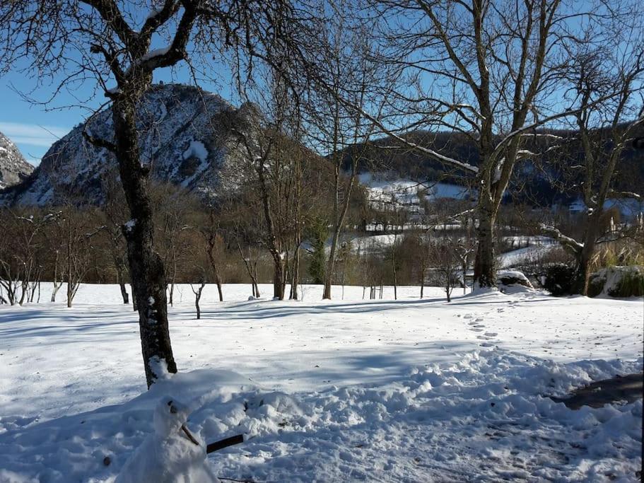 Grange En Pierres. Grand Jardin Et Belle Vue Villa Saurat Luaran gambar